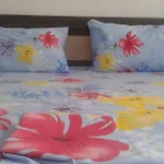 Αpartments Εvelina