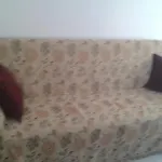 Αpartments Εvelina