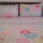 Αpartments Εvelina